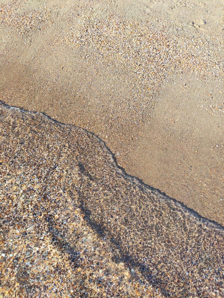 Sun and Sand Focene - Housity