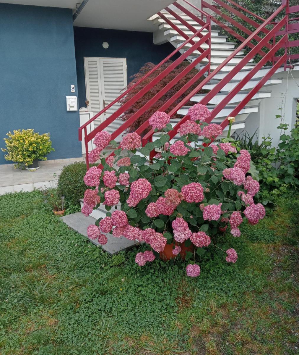 casa Guanita - Housity