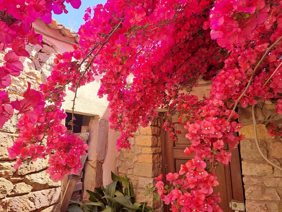 B&B S'Omu Antiga - Housity