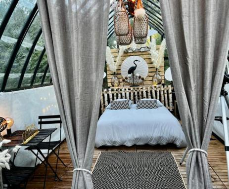 Domaine Albizia - Housity