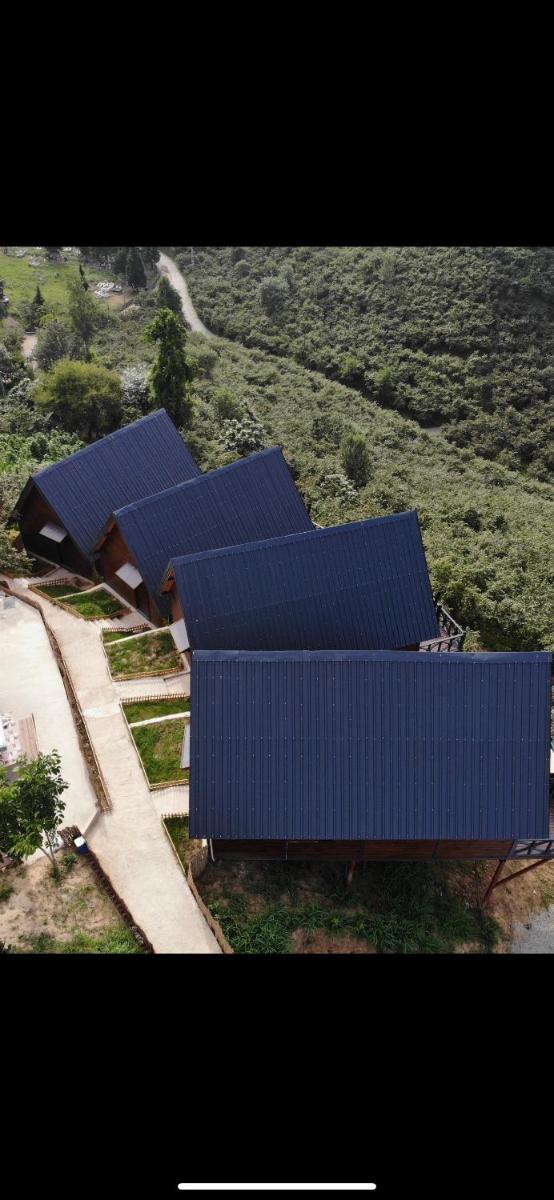 Defne Bungalow Yomra - Housity