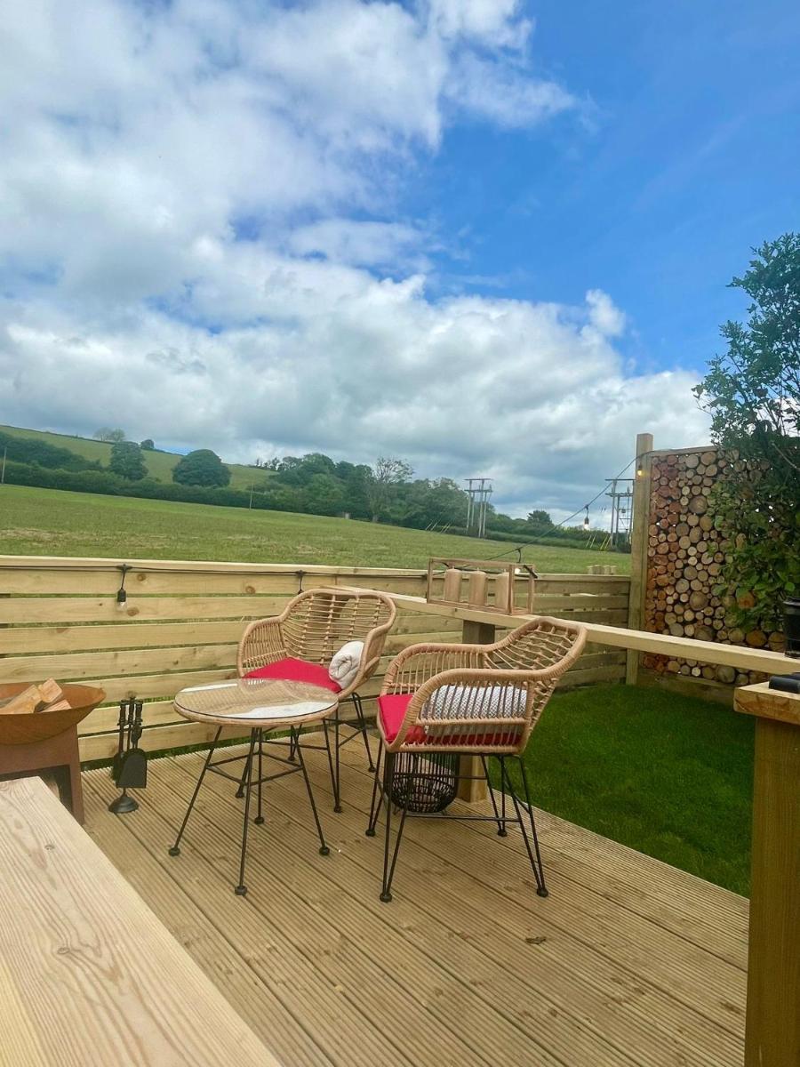 Coedydd - Woods - Housity