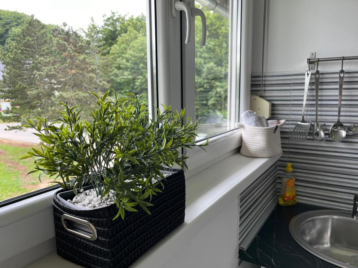 Eva Luxury Rooms & Apartments - Hizvo