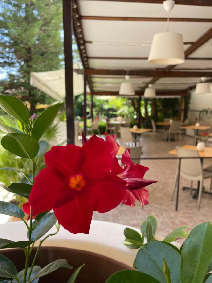Da Carmelo, Apartments & Rooms - Housity