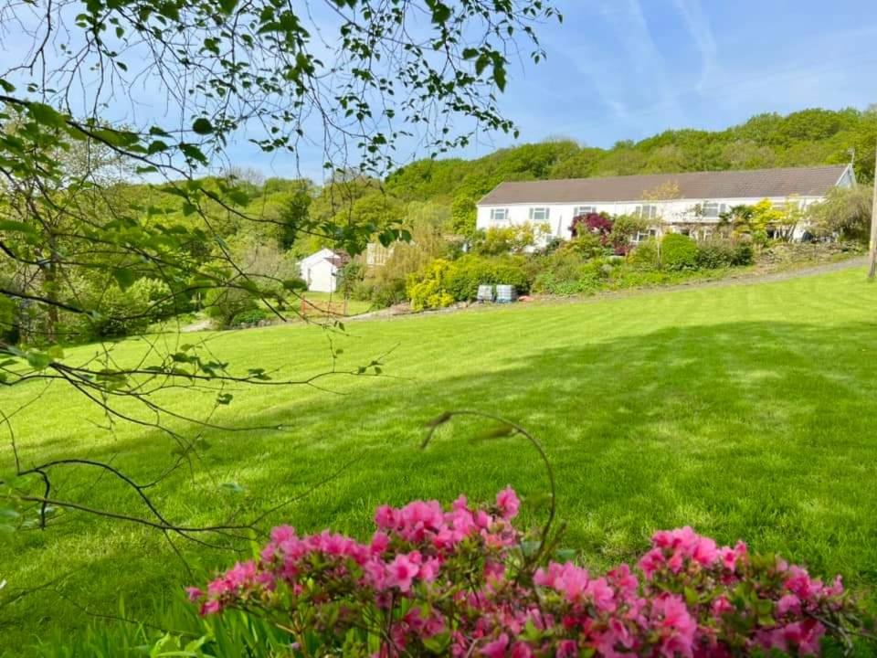 Cwmbach Guest House - Housity