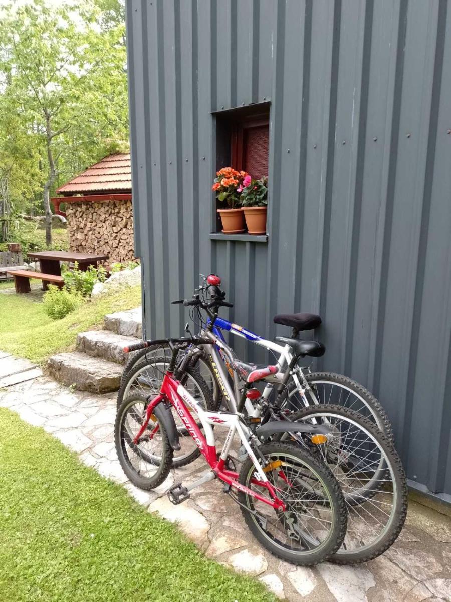 House Polane in the Forest, 45 km from Seaside - Housity