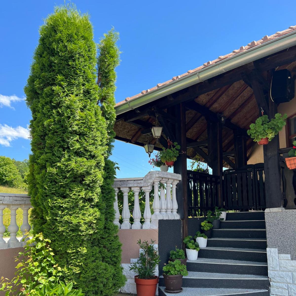 Vila Tribalija - Housity