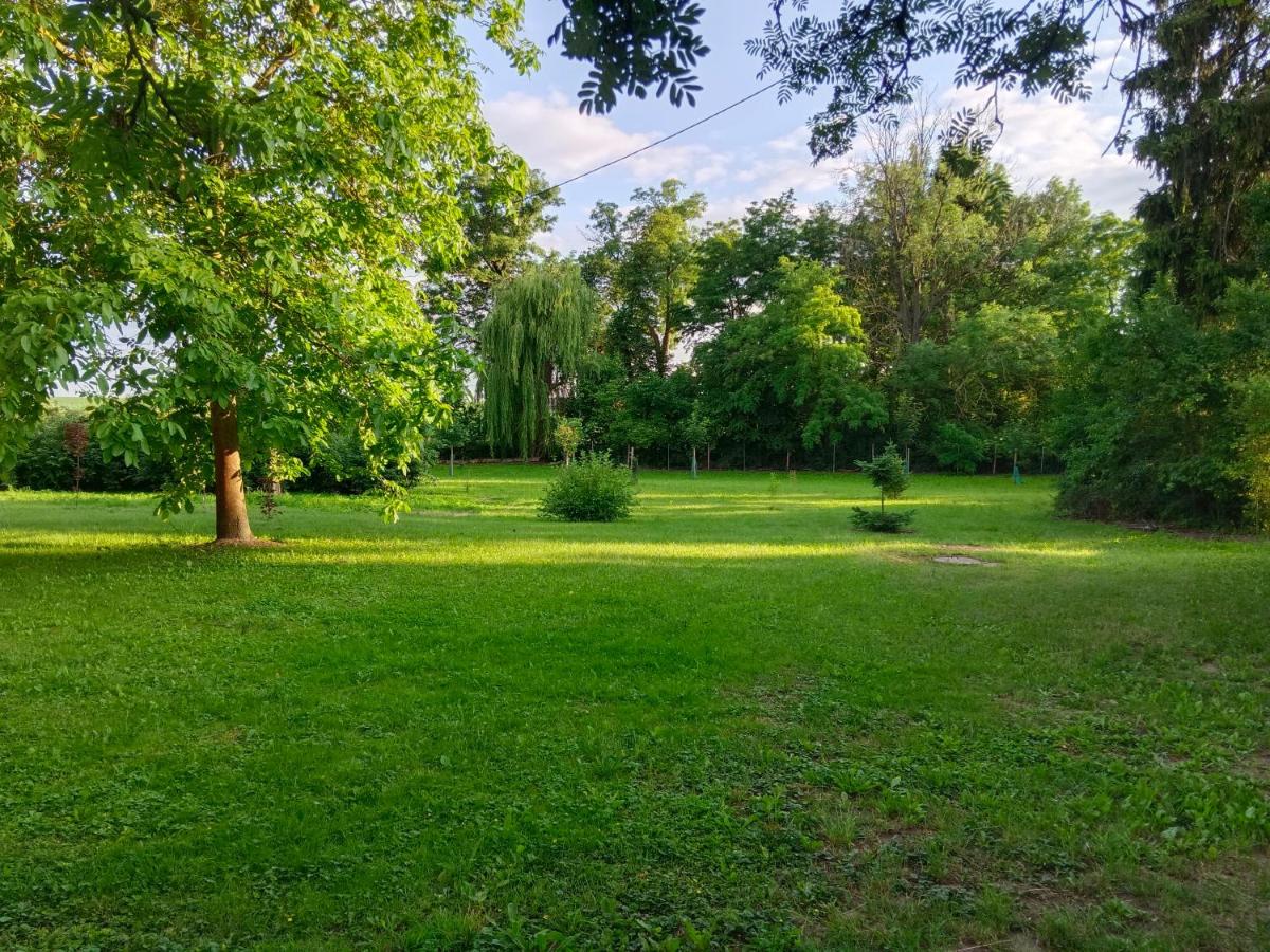 Agroturystyka Słupeczka - Housity
