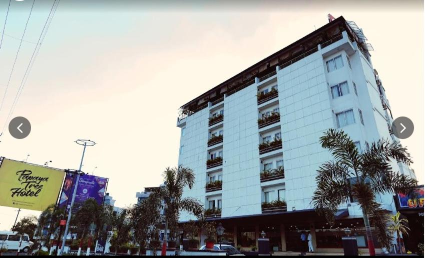 Papaya Tree Hotel - Housity