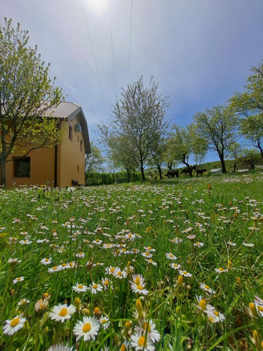 St George B&B - Housity