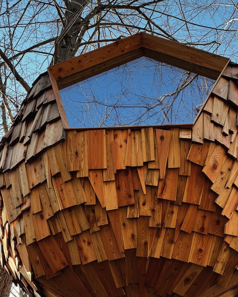T'glamp Bee house - Housity
