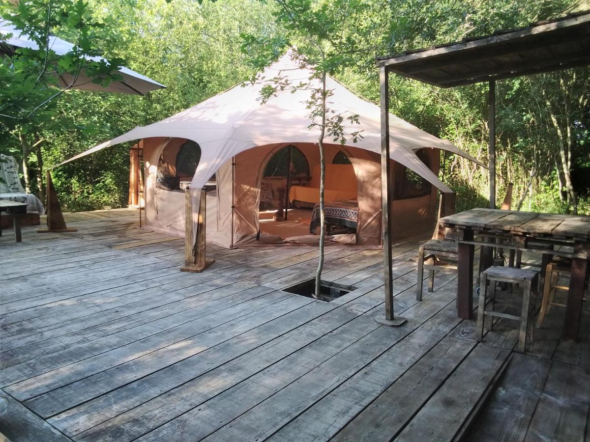 TENTE SAFARI LODGE DANS FORET LUXURIANTE - Housity