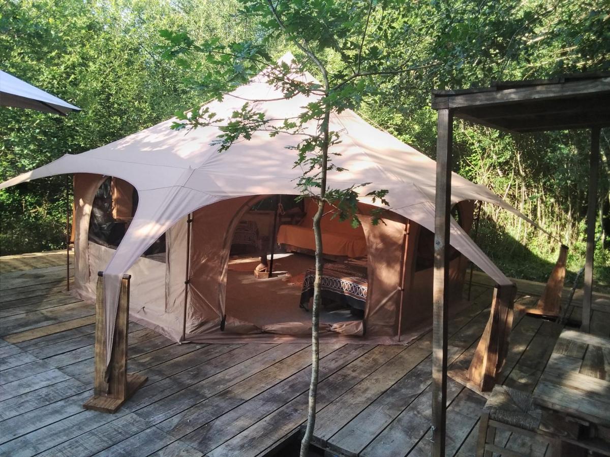 TENTE SAFARI LODGE DANS FORET LUXURIANTE - Housity