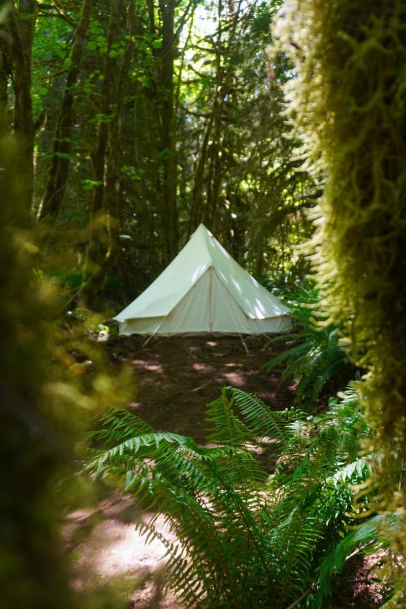 Wander Camp Olympic - Housity
