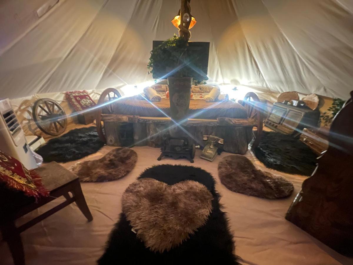 Re dream suite a tema - Rapallo - Housity