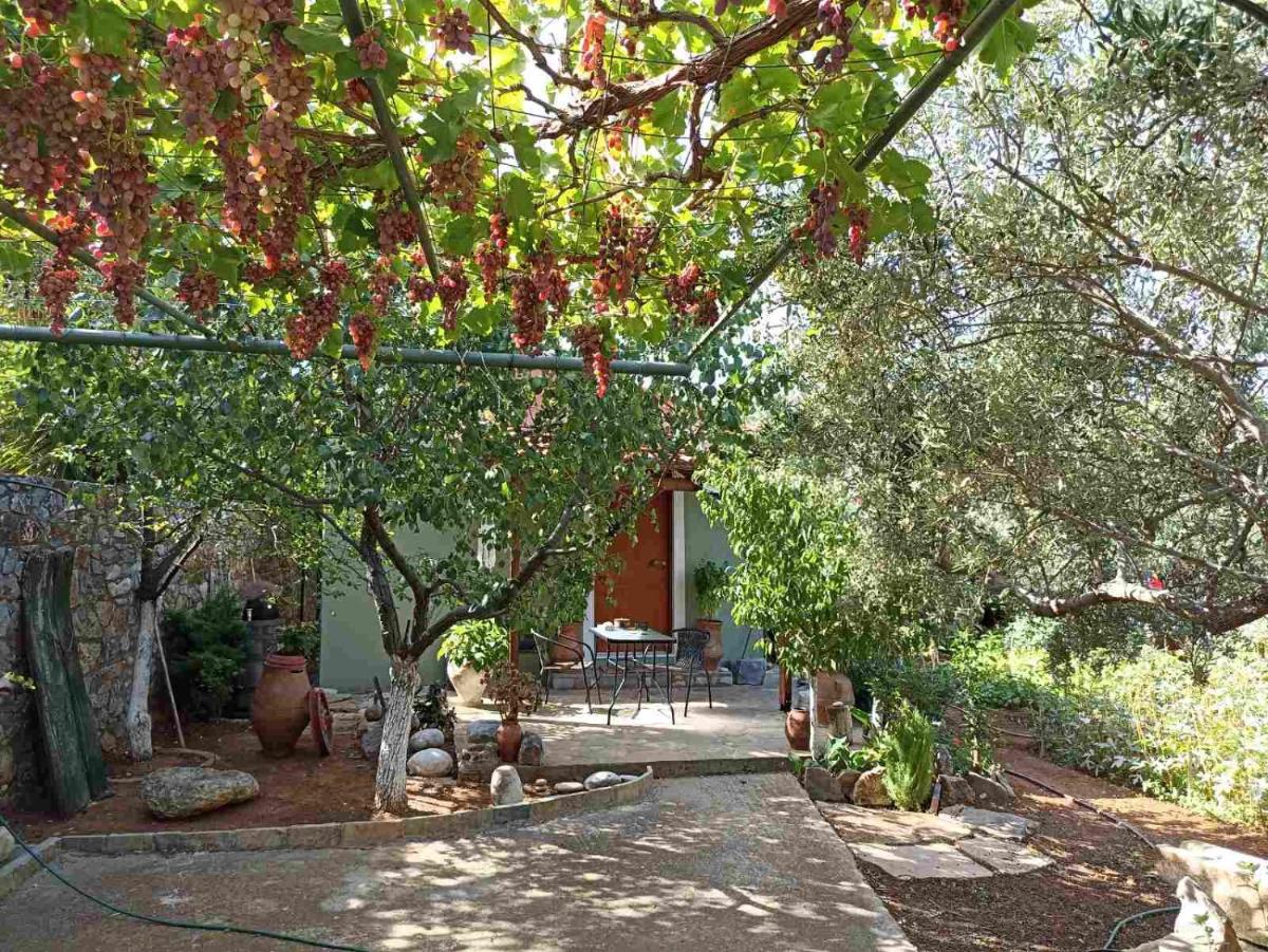 Martha's Home in Fourni Village Crete - Housity