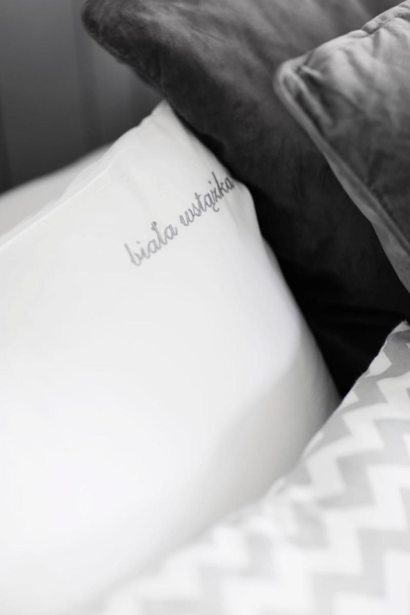 Biała Wstążka B&B - Housity