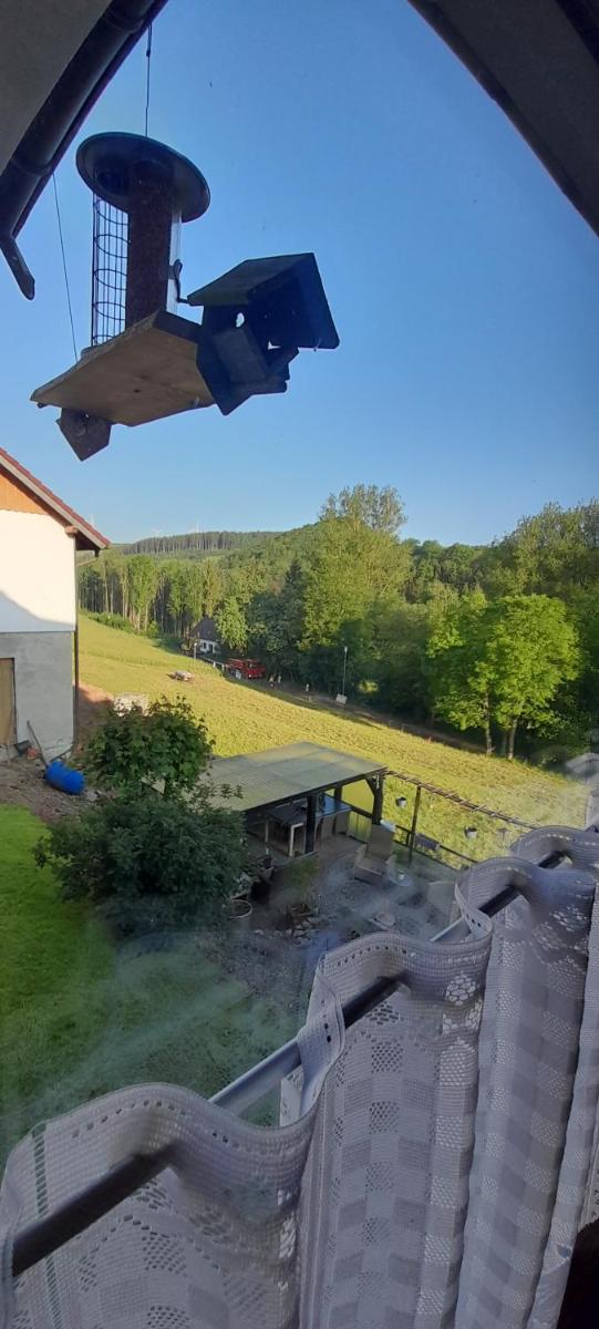 Sunrise B&B Hellenthal - Housity
