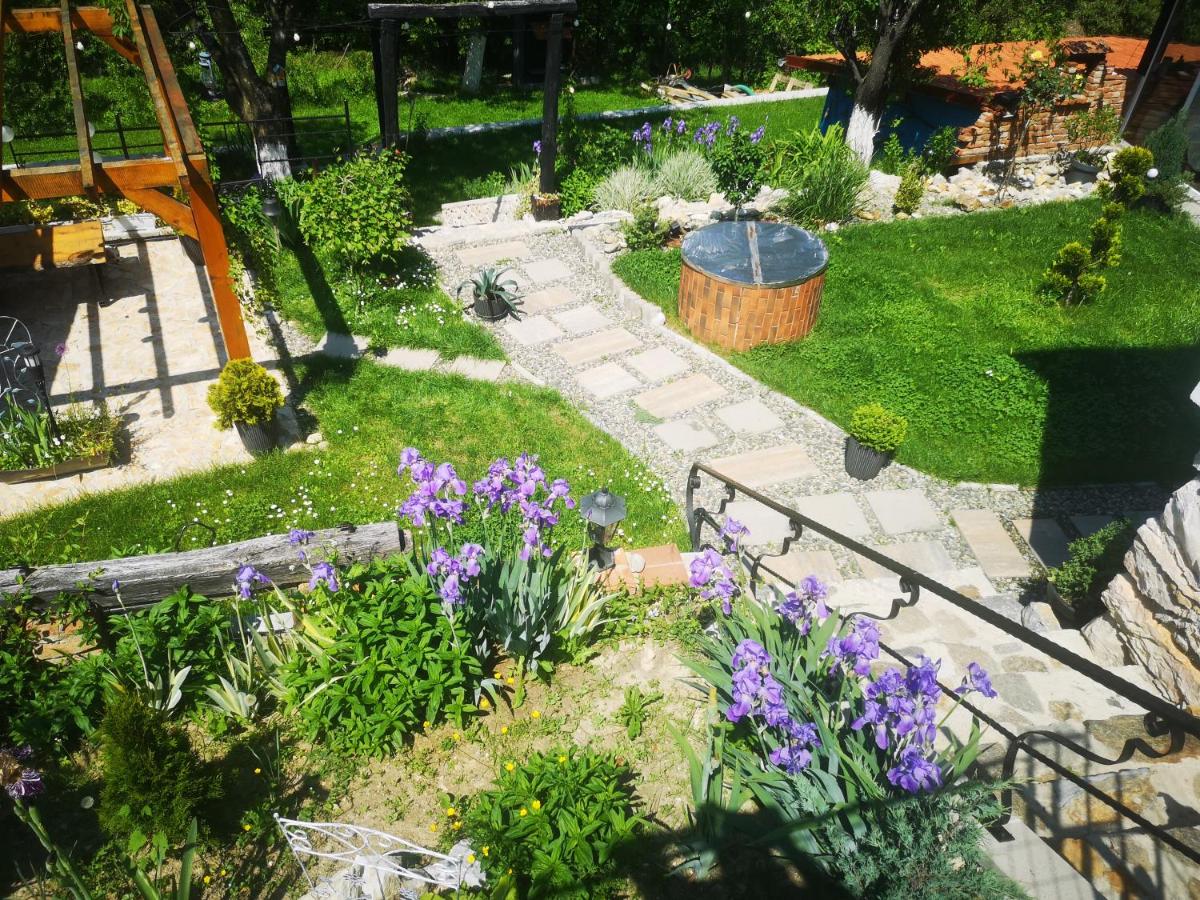 The Little Blue House - Housity