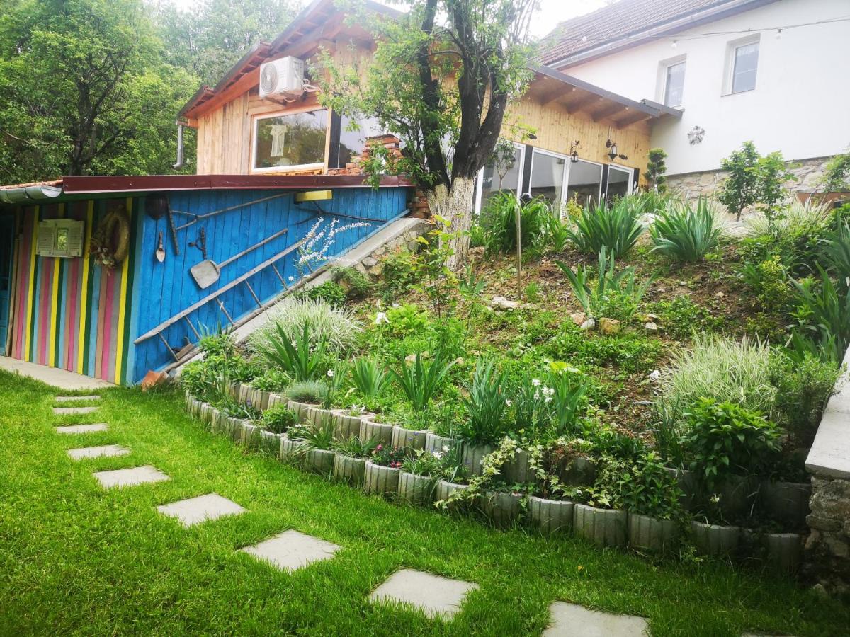 The Little Blue House - Housity