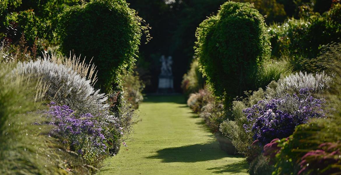 Domaine Albizia - Housity
