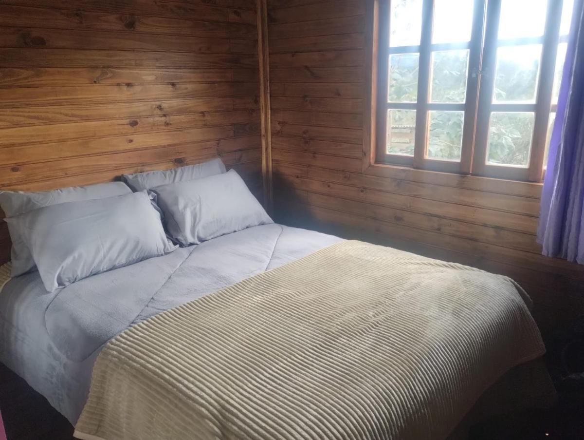 cabana e casa de campo bromélia - Housity
