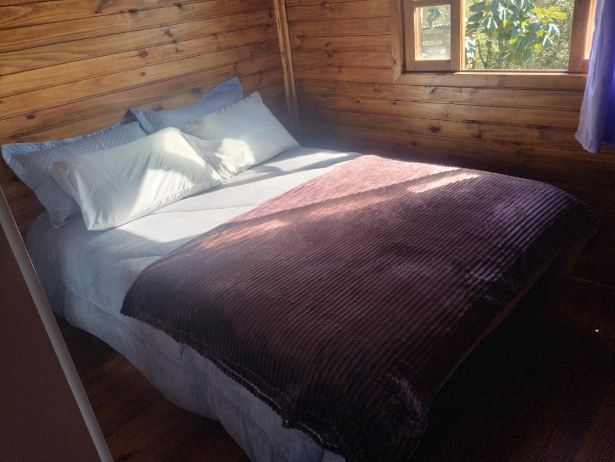 cabana e casa de campo bromélia - Housity