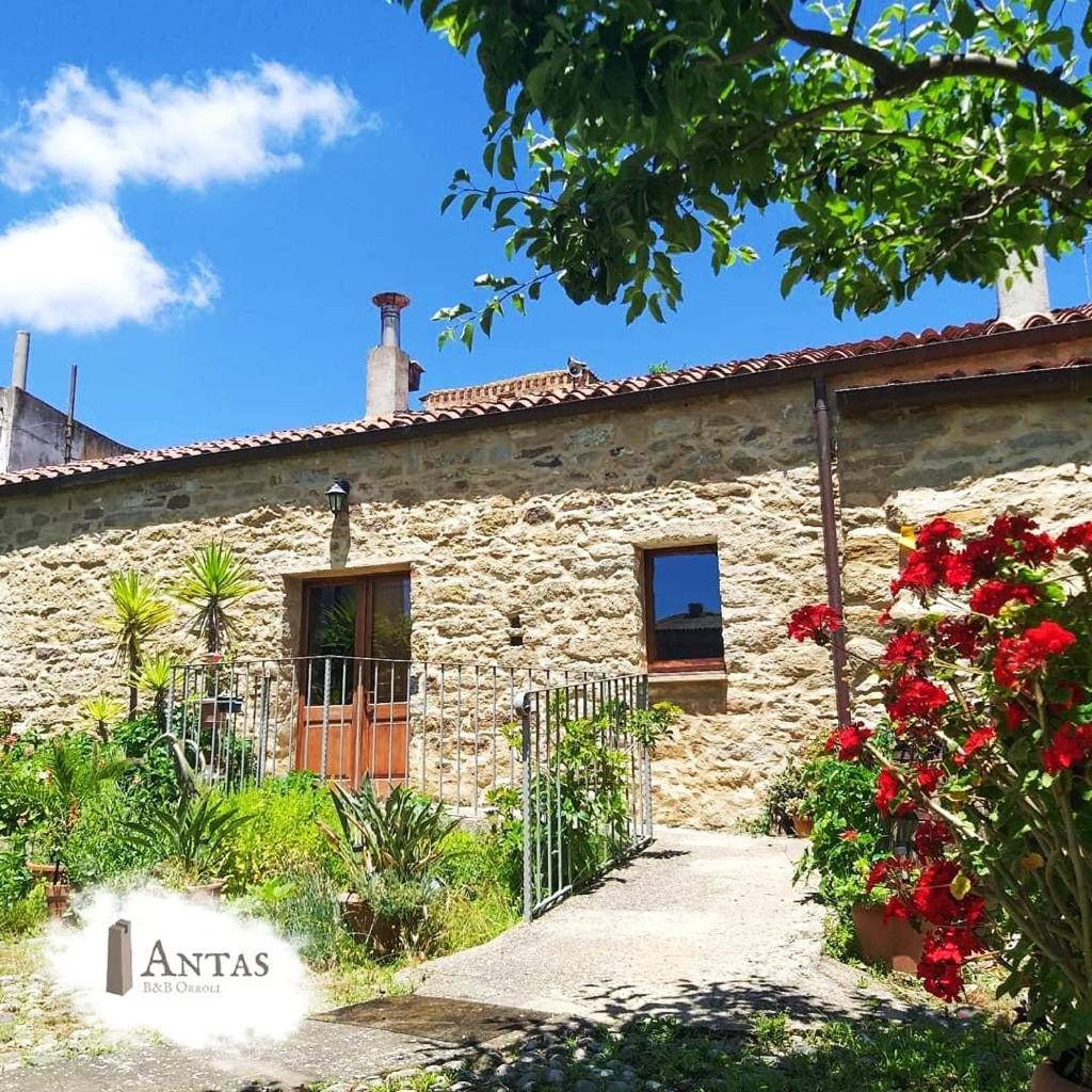 Is Antas - Housity