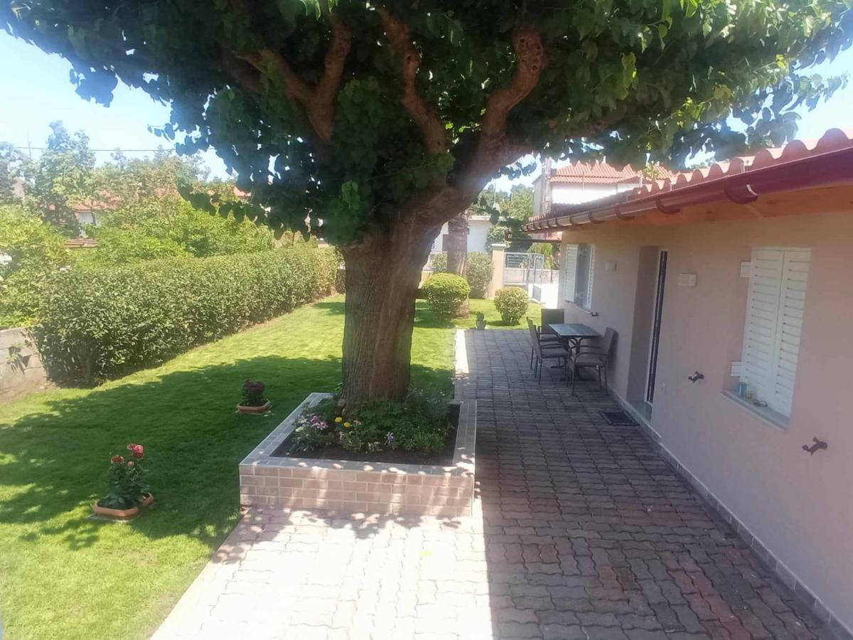 Galini Home - Housity