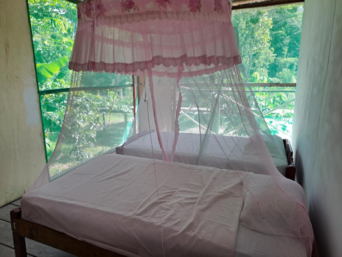 My Amazon Tours - Housity