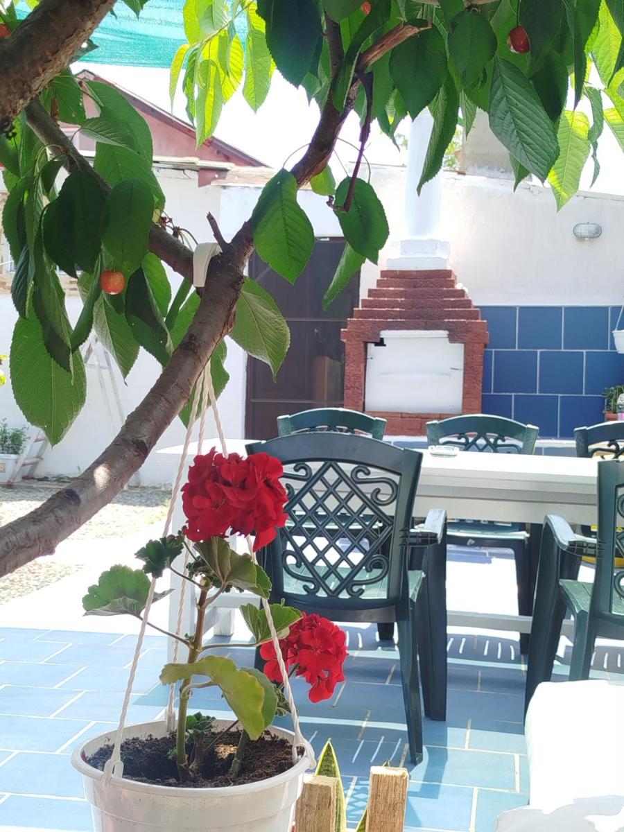 bogdan, cazare la tuzla - Housity