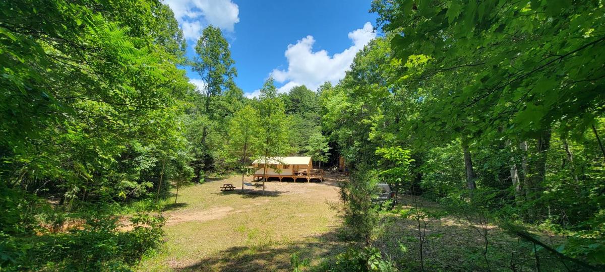 Charming enclave Luxury tent in the woods Tent 3 Bambi's playground - Housity