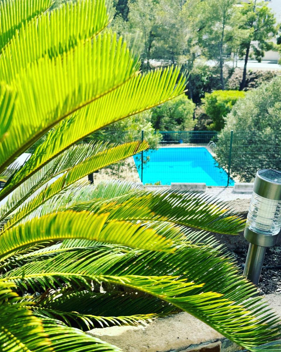 VUEMER Bandol - GRANDE TERRASSE de 45m2 VUE MER PISCINE PARKING - Housity