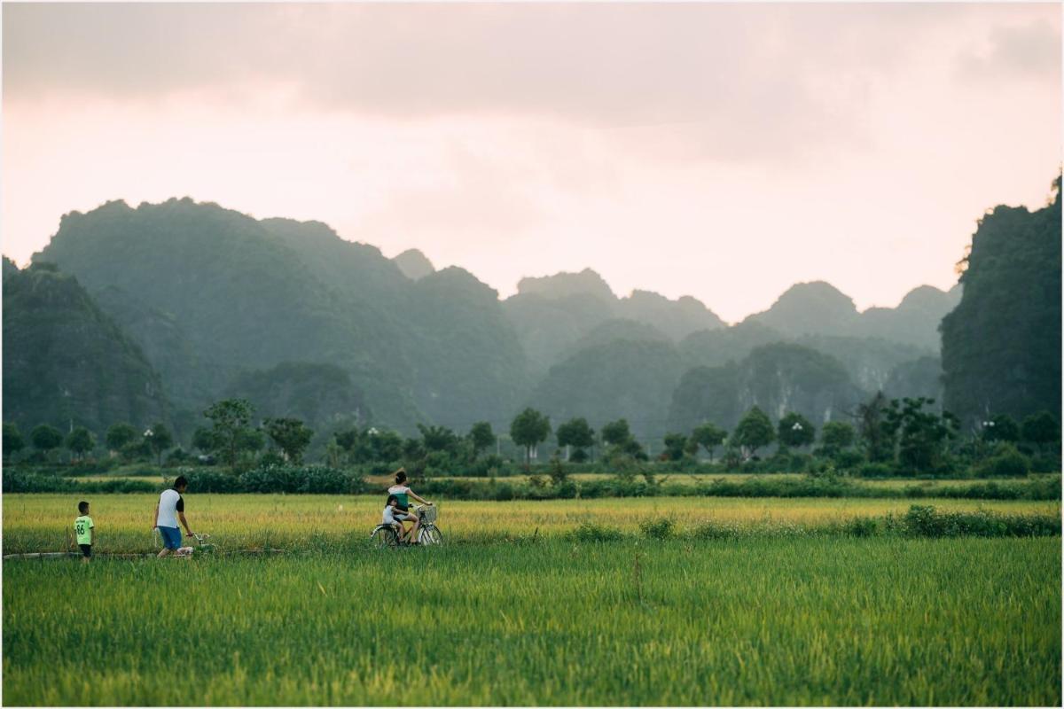 Tam Coc Windy Fields - Housity