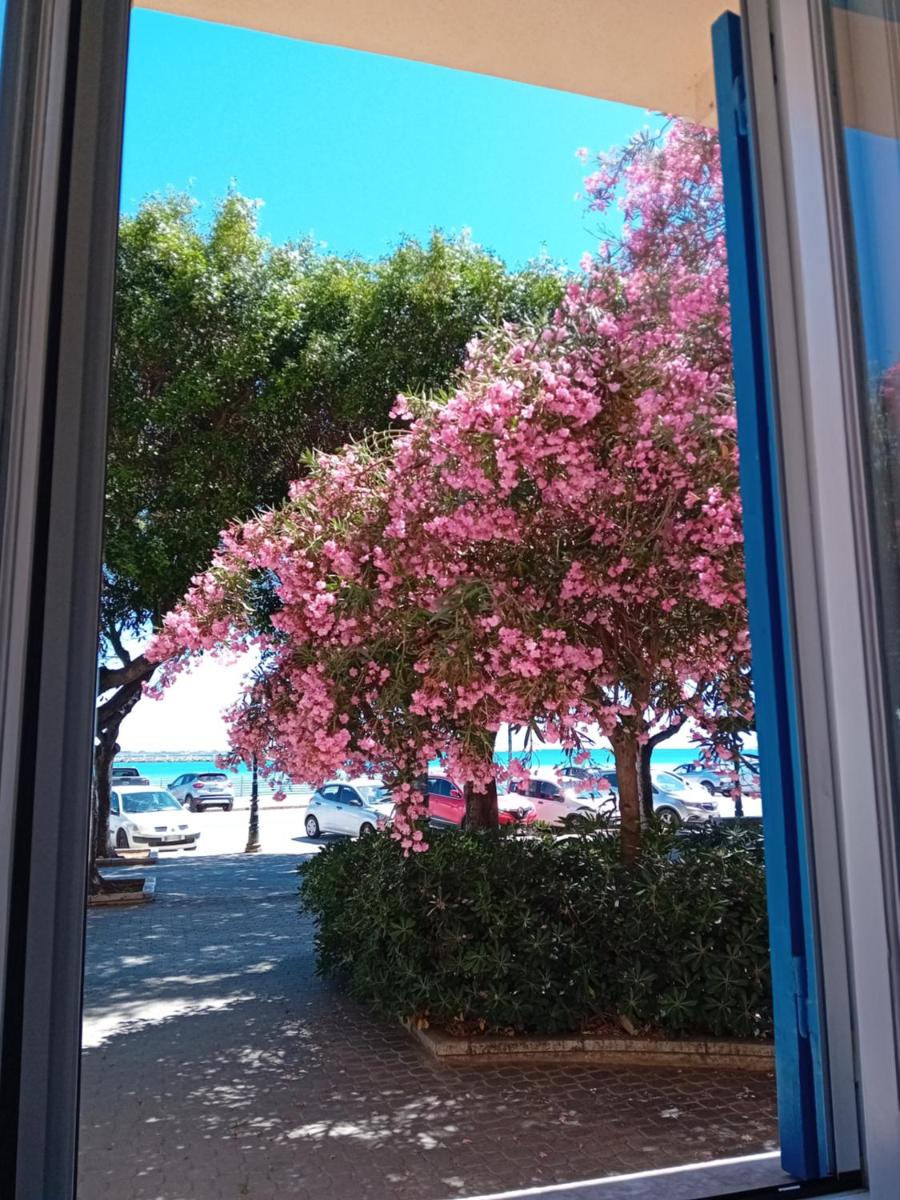 Il Cristallo del mare - Housity