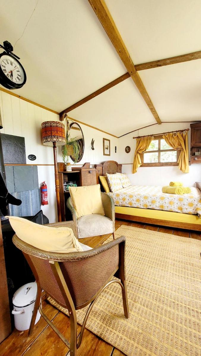 Treguth Glamping Unique Experience - Themed Huts - Housity