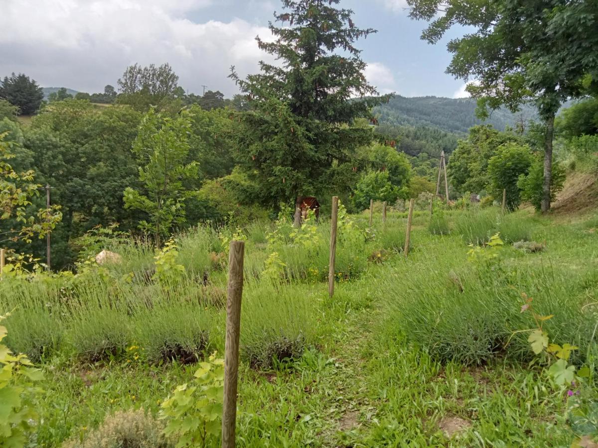 Au Jardin Retrouvé - Housity