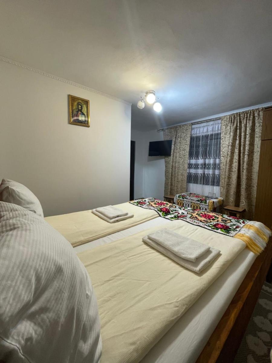 La Lenuța În Susani - Housity