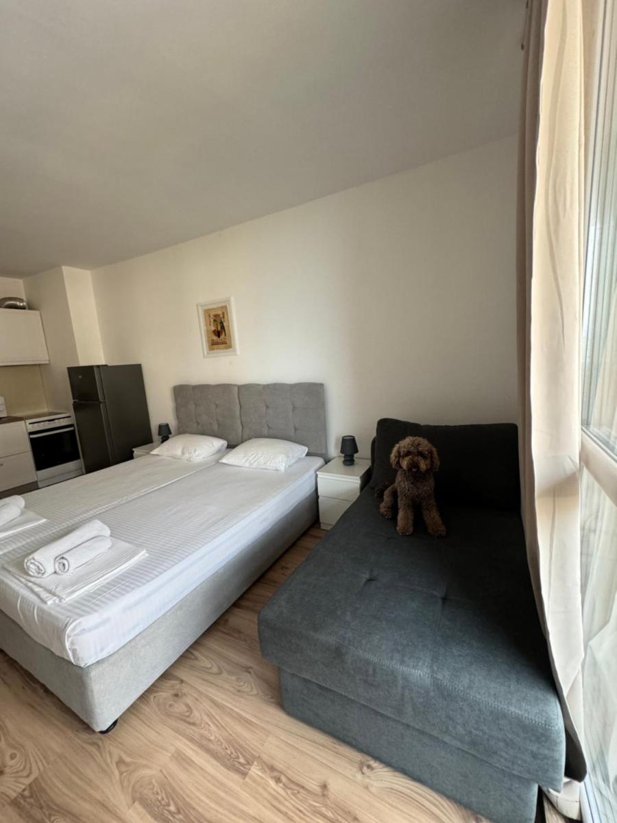 Апартаменти за гости "Екатерина" guest apartments "Ekaterina" - Housity