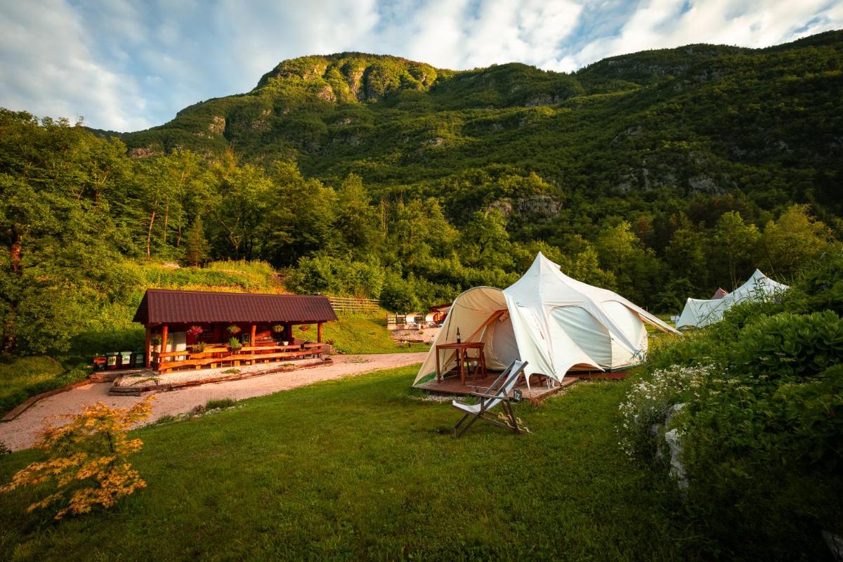 Glamping Gozdna Jasa - Housity