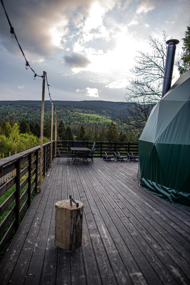 BUNNY GLAMP - Housity