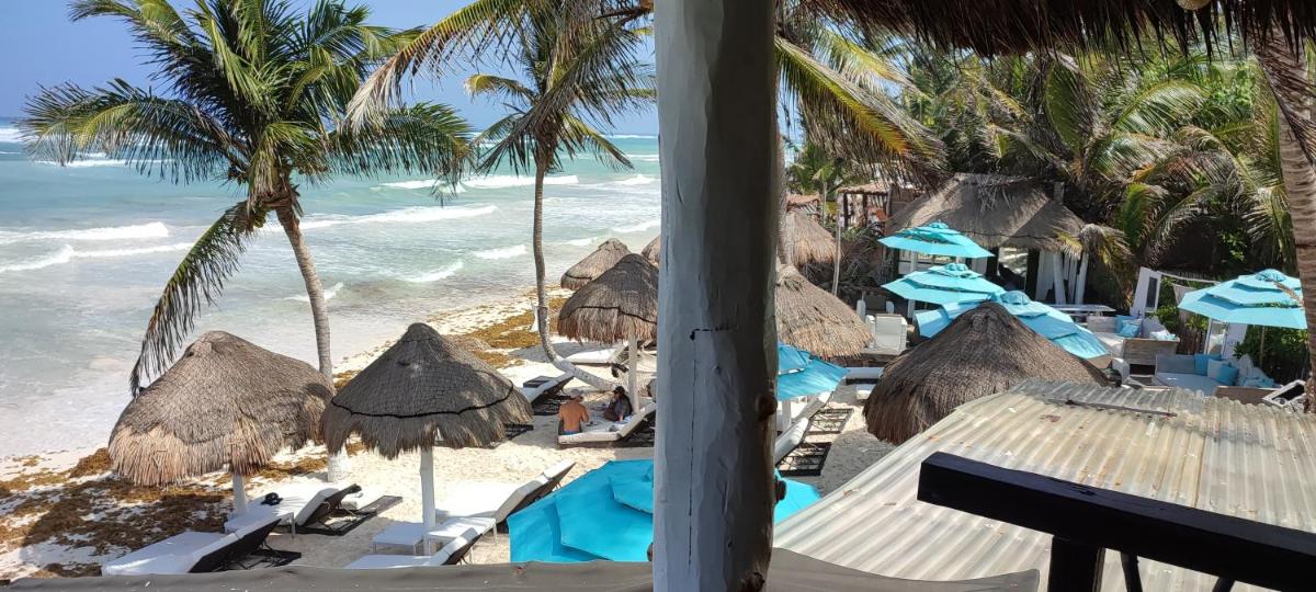Villa Las Estrellas Tulum - located at the party zone - Housity