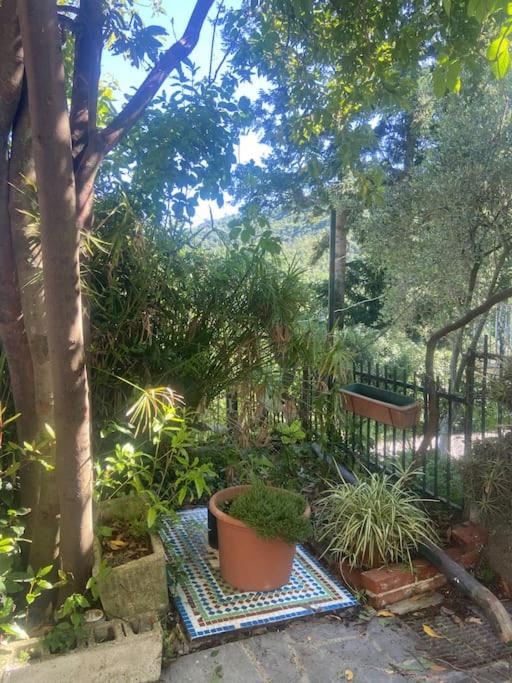 LEIVI, La Casa di Lulù - Housity