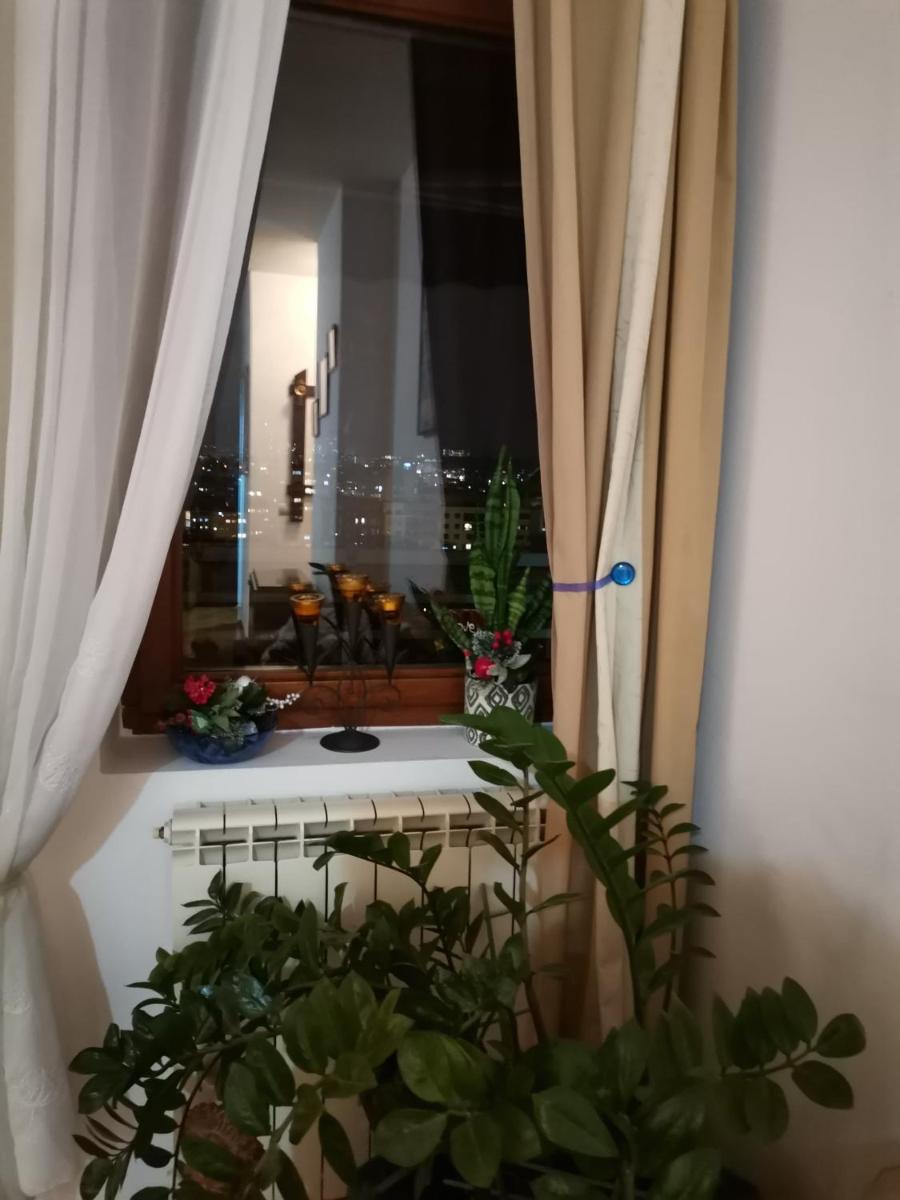 Rajana , Beograd - Hram Svetog Save - Housity