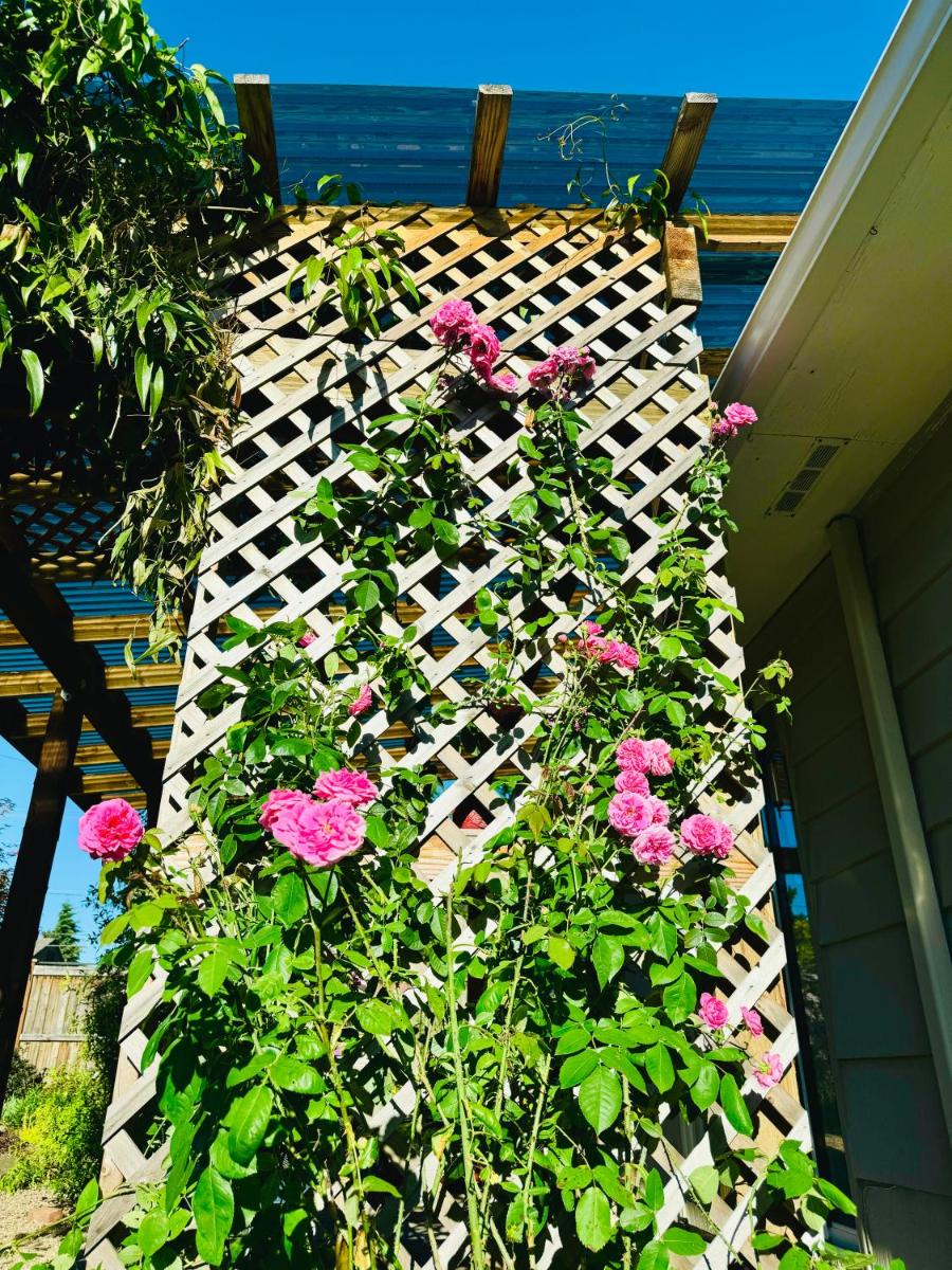 Welcome! Colorful 50's Ranch in the Heart of Eugene - Housity