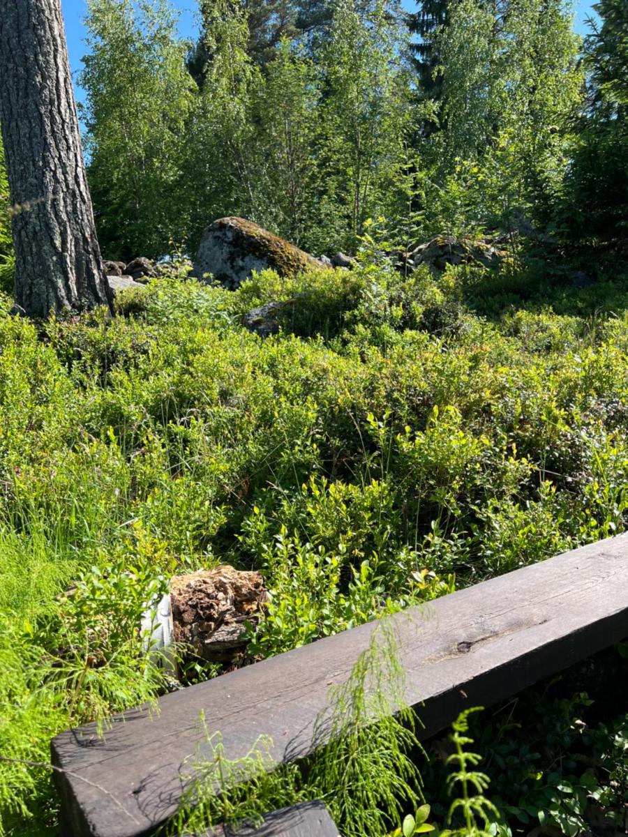 Ihana talo - Lovely House with Sauna in Vaasa - Housity