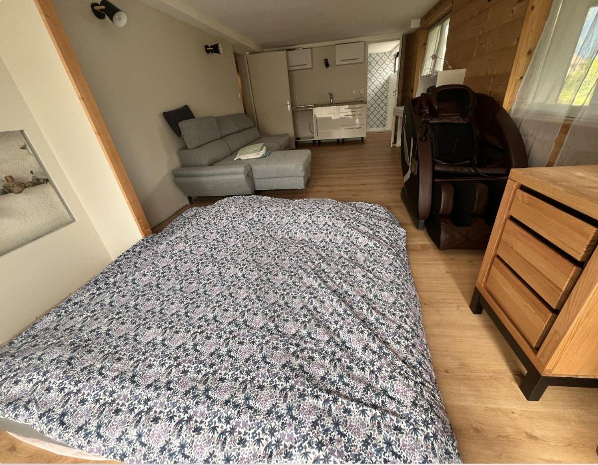 Quiet Studio in a House in Sevrier Annecy Lake very close to the lake - Housity