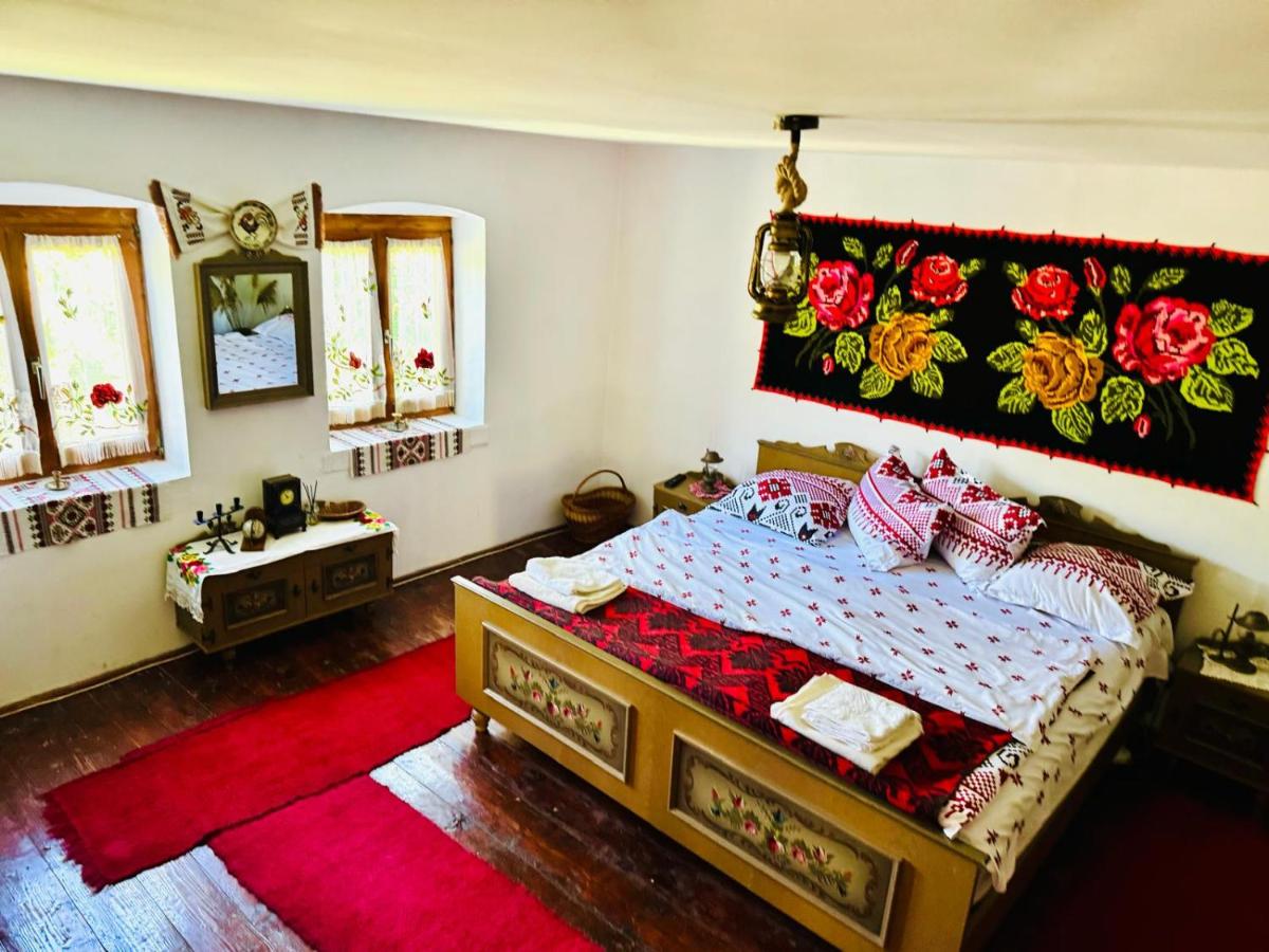 Pensiunea Casa Țărănească - Housity