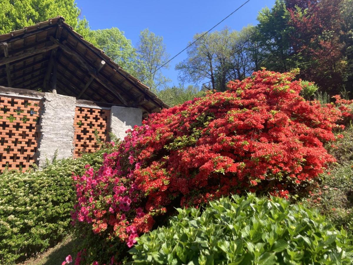 La Tonaccia - B&B per due - Hizvo