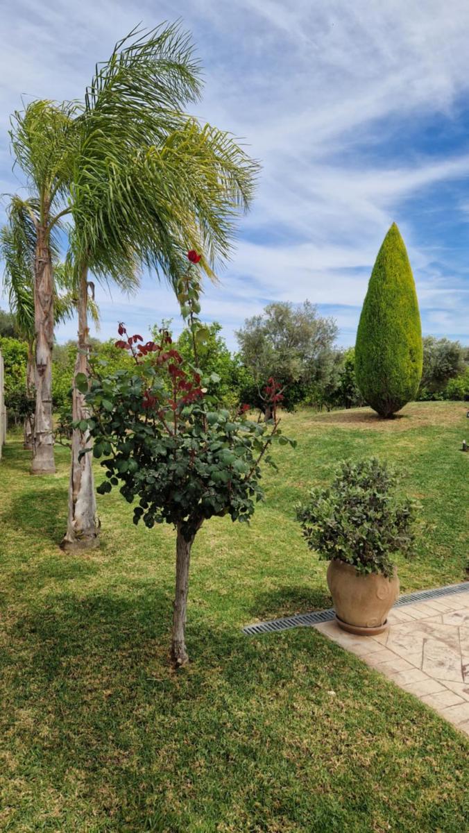 Dimitris Villa - Housity
